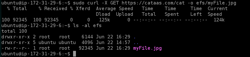 25000000-output-server1