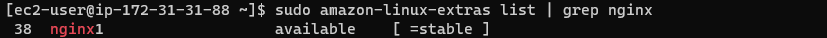 Check nginx amazon linux extras