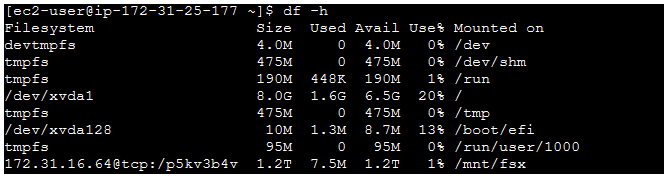 FSx mounted on EC2